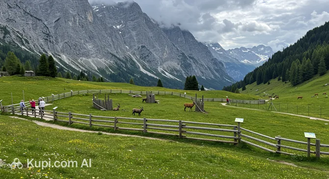 Alpine Wildlife Park Pfänder