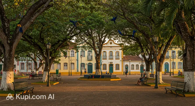 Square of the Macaws