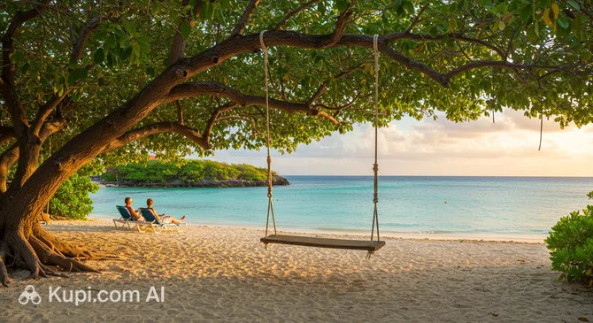Mangrove Beach Swing