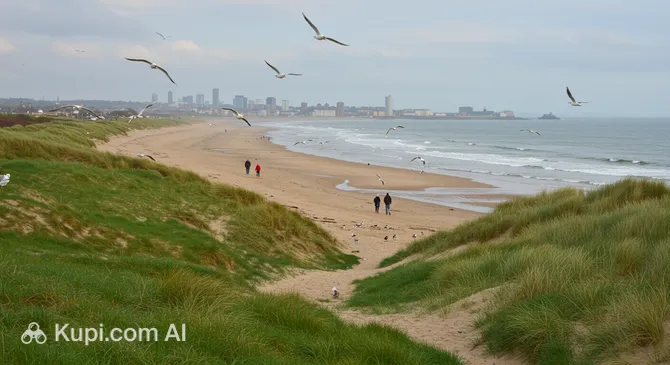 Donmouth Local Nature Reserve