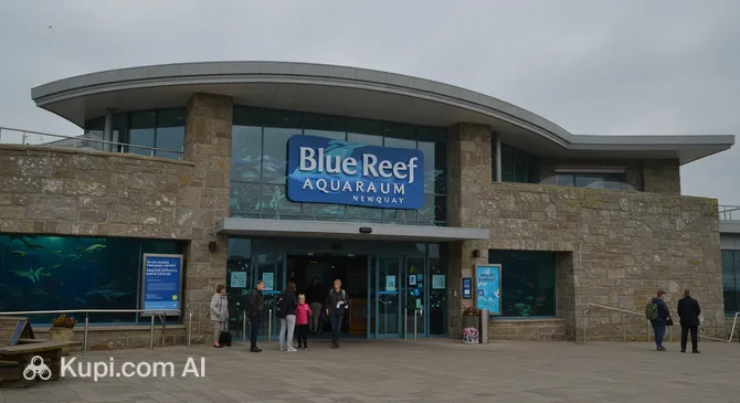 Blue Reef Aquarium Newquay