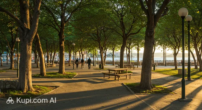 Scout Park – Municipal Grove