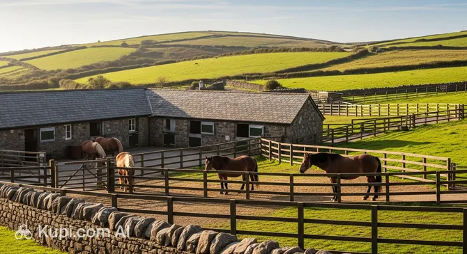 Home of Rest for Old Horses
