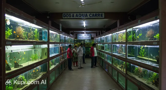Dog & Aqua Care Aquarium