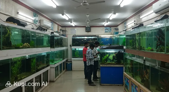Balaji Fish Aquarium