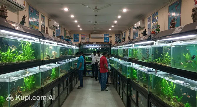 Jaipur Aquarium and Pet Shop