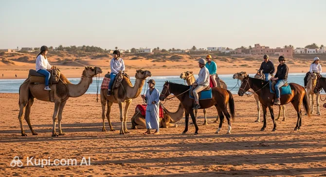 Agadir Camel and Horse Riding