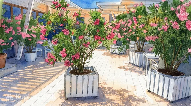 Veterok Stereo Format